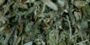 Schafgarbe - Herb.Millefolii cs.EAB